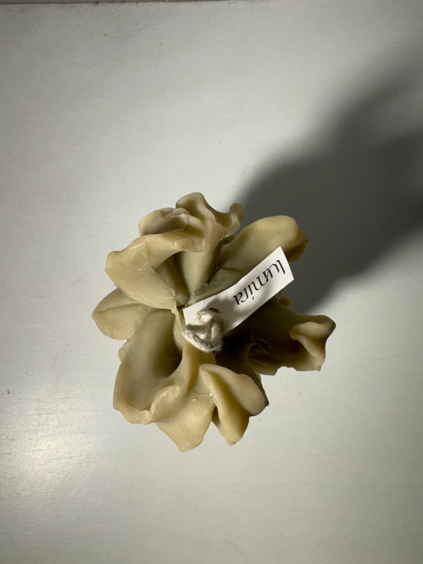 Vela Venus