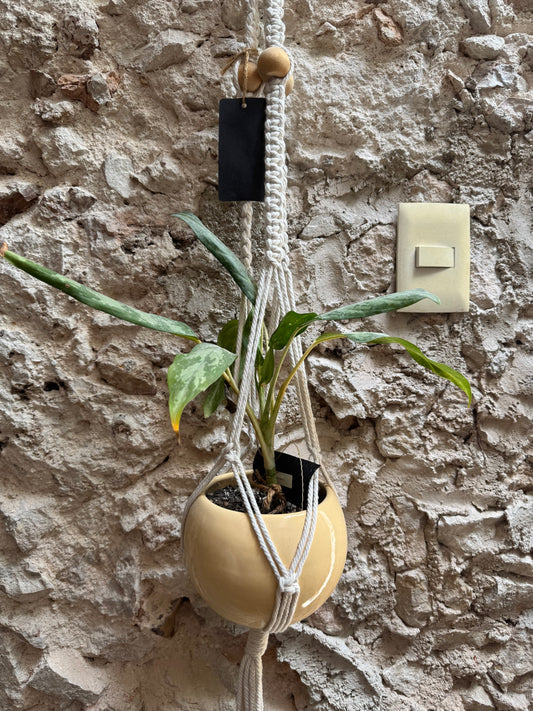 Colgante Macramé con Teléfono